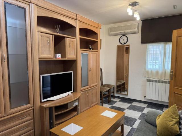 3 Dormitorio Apartamentos Madrid Madrid 103595019