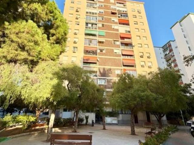 3 Dormitorio Apartamentos Málaga Málaga 106004699