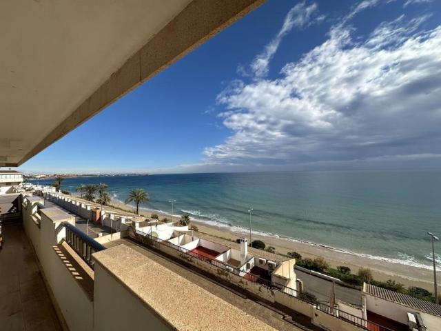 3 Dormitorio Apartamentos Mil Palmeras Alicante 98488891