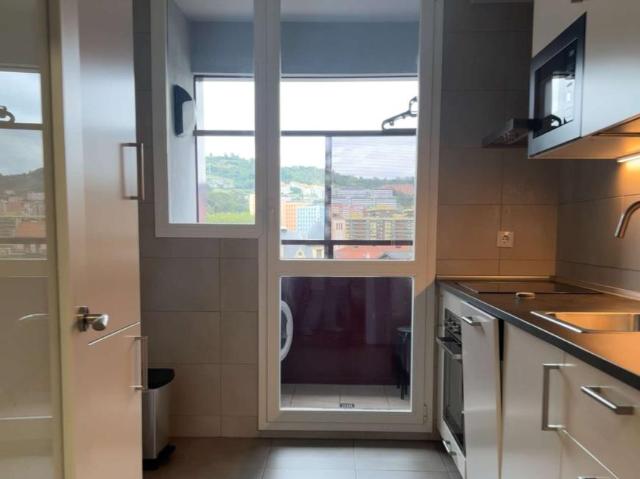 3 Dormitorio Apartamentos Bilbao Bilbao 98190923