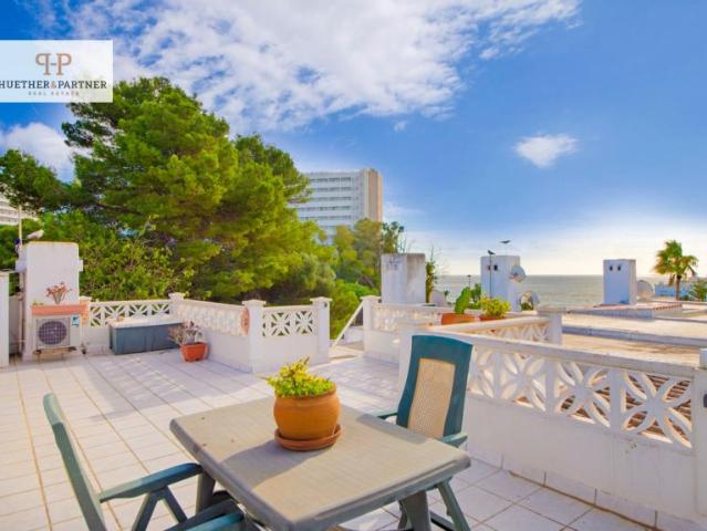 3 Dormitorio Apartamentos Cales De Mallorca Spanien 104915960