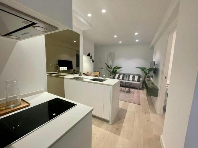 3 Dormitorio Apartamentos Donostia Donostia 102850866