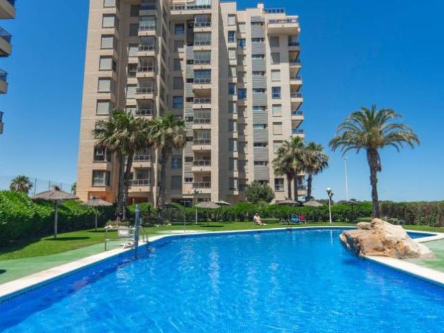 3 Dormitorio Apartamentos Guardamar Del Segura Alicante 93251257