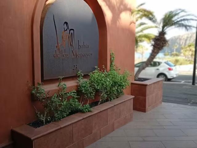 3 Dormitorio Apartamentos Palm Palm 100253808