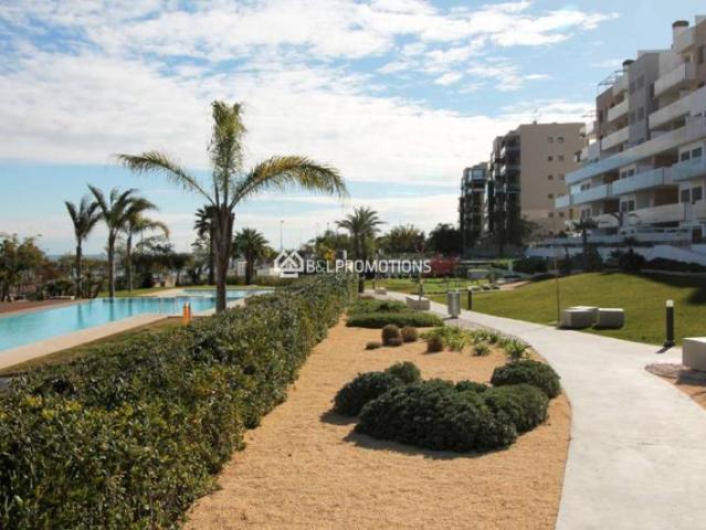 3 Dormitorio Apartamentos Pilar De La Horadada Costa Blanca South 99036797