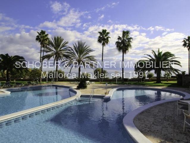 3 Dormitorio Apartamentos Port Verd Spanien 90975673
