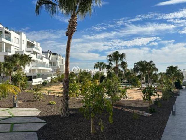 3 Dormitorio Apartamentos Torrevieja Costa Blanca South 84634664