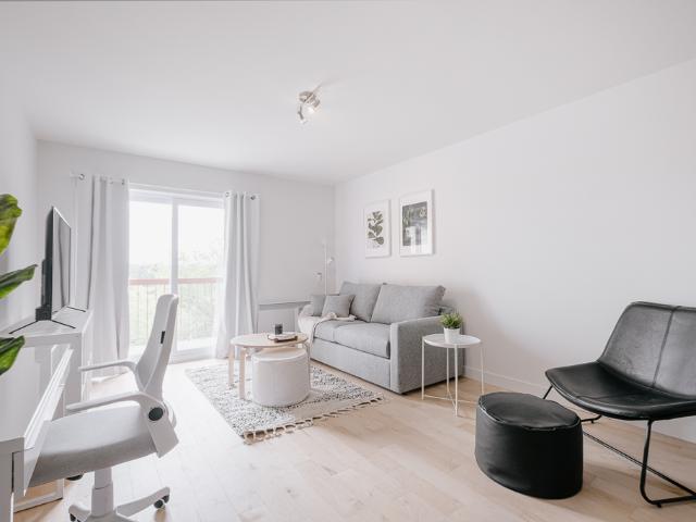 Appartement 3 ½ à louer Sainte Foy / Sillery octobre 2026