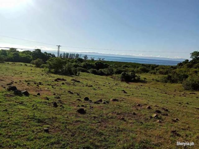 3 Has Beach Front Lot for sale in Lahuy Island, Caramoan, Camarines Sur