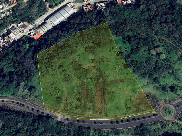 3 hect?reas en R?bsamen, Xalapa