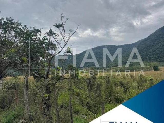 3 HECTAREAS EN VENTA COL. PUERTA DE LA LAGUNA, TEPIC, NAYARIT