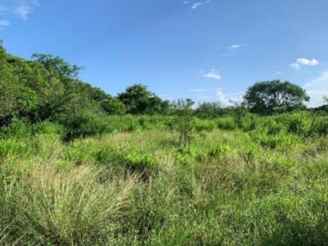 3 HECTAREAS EN VENTA EN SAN FRANCISCO MEDELLÍN