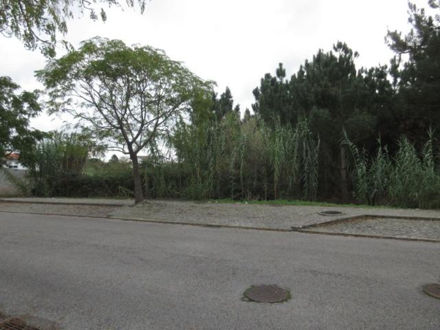 3 Lotes de terreno para construção