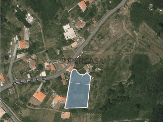 4 Lotes terreno contíguos urbanizáveis para construção moradias em Prazeres, Calheta