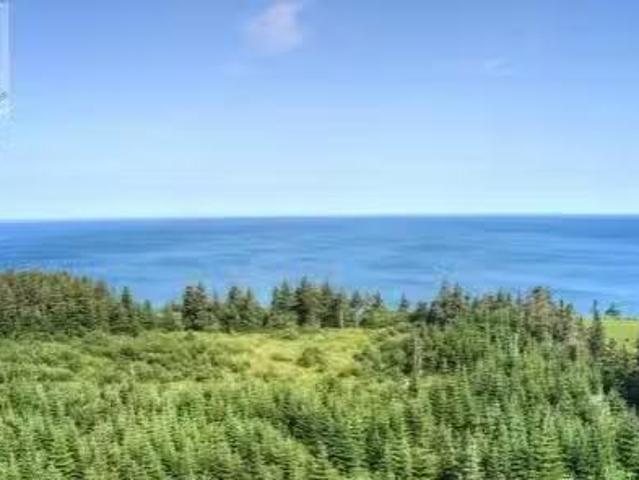 3 Philpotts Lane, Port Au Port East, NL, A0N 1T0 vacant land.
