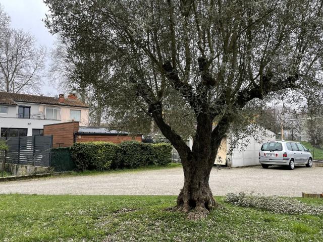 3 pièces, 69m² en location à Toulouse 842.51 € par mois