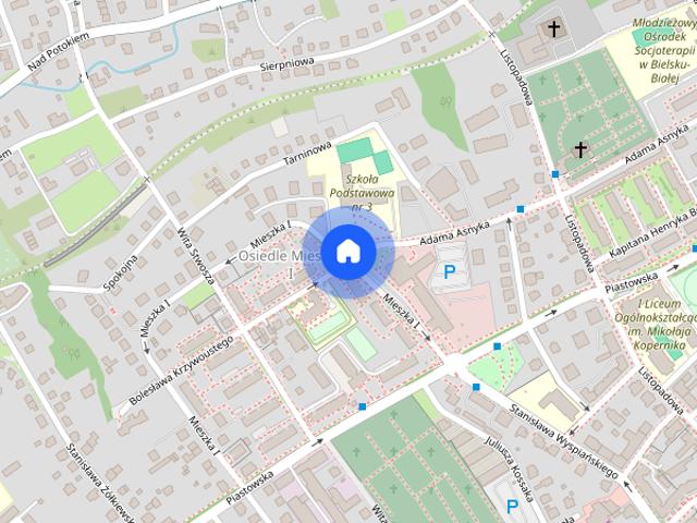 3 pokoje 71 m² garaż podziemny + komórka i balkon, ul. Asnyka, centrum