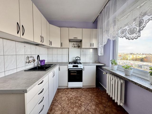 3 pokoje do wynajęcia od zaraz / Nowe Miasto