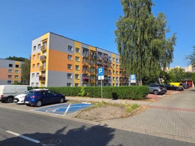 3 pokojowe mieszkanie 61 m² w Katowicach blisko uczelni