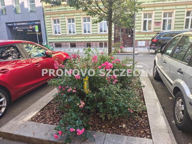 Przestronne 3 pokojowe mieszkanie 84 m² w centrum Szczecina