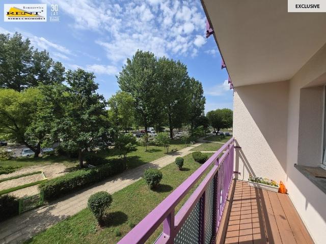 3 pokojowe mieszkanie do remontu, balkon, parking, świetna lokalizacja