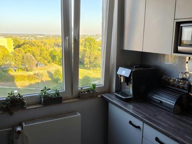 3 pokojowe mieszkanie po remoncie, balkon, piwnica