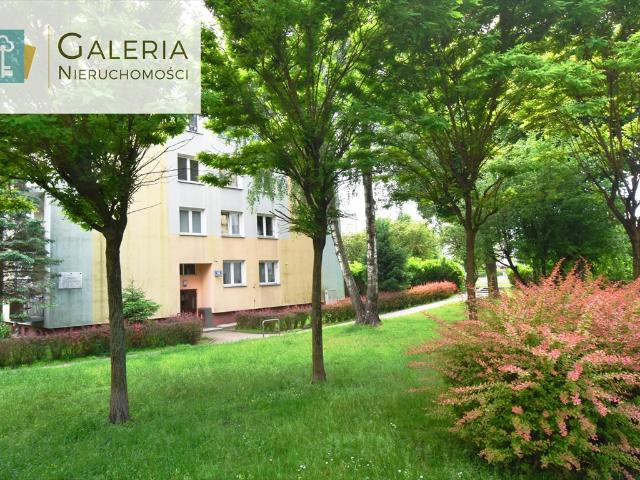 3 pokojowe mieszkanie w Elblągu balkon, piwnica, cicha okolica