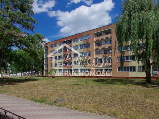 3 pokojowe mieszkanie z balkonem i potencjałem inwestycyjnym