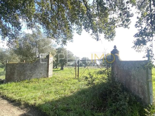 3 quarto, Vale de Santarém Santarém 91598461