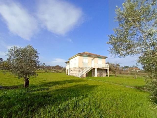 3 quarto, Viseu Mangualde 3530 99825584