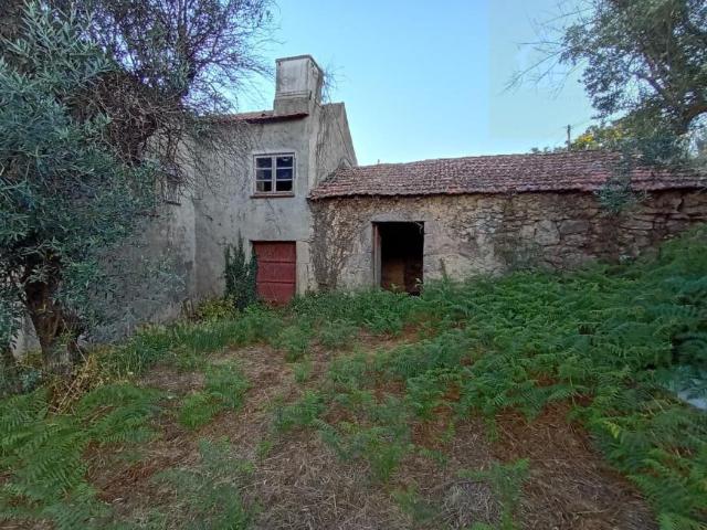 3 quarto, Viseu Mangualde 3530 104940385