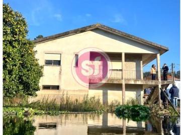 3 quarto, Águeda Águeda 98362881