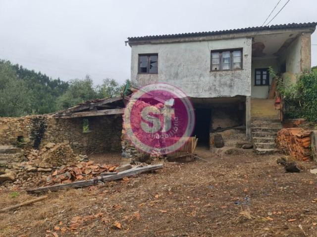 3 quarto, Anadia Anadia 105040132