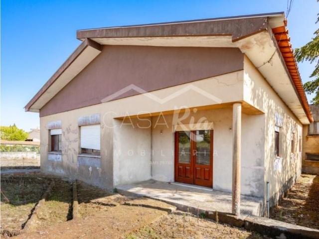 3 quarto, Anadia Anadia 99311060