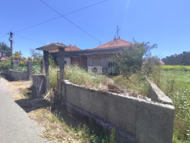 3 quarto, Aveiro Oliveira do Bairro 3770 103150970
