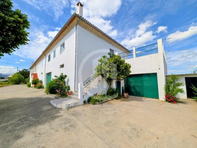 3 quarto, Belmonte Belmonte 6250 111 102221178