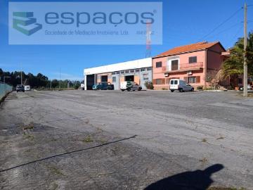 3 quarto, Castelo Branco Castelo Branco 102474718