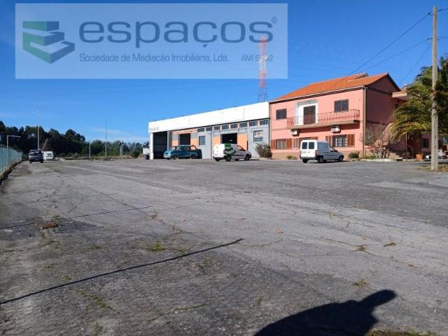 3 quarto, Castelo Branco Castelo Branco 102474718