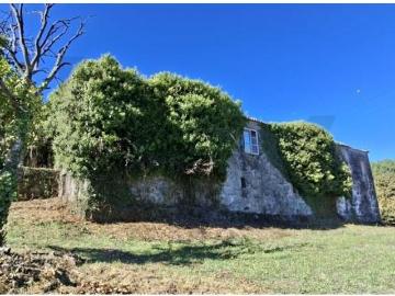3 quarto, Cinfães Cinfães 103393477
