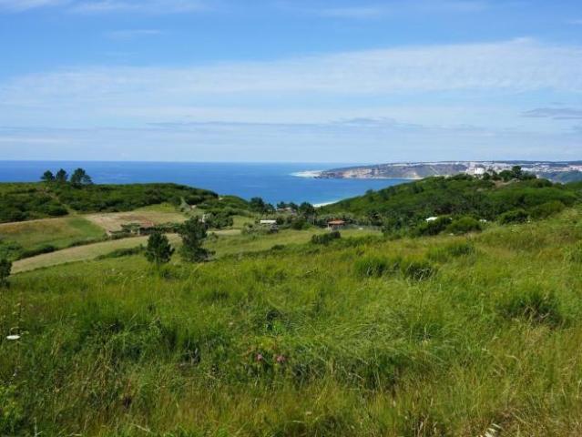 3 quarto, Leiria Portugal 103396470