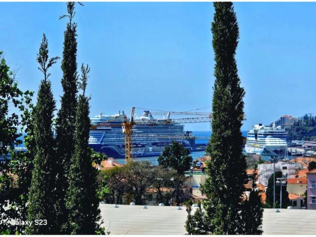 3 quarto, Funchal Funchal 100536441