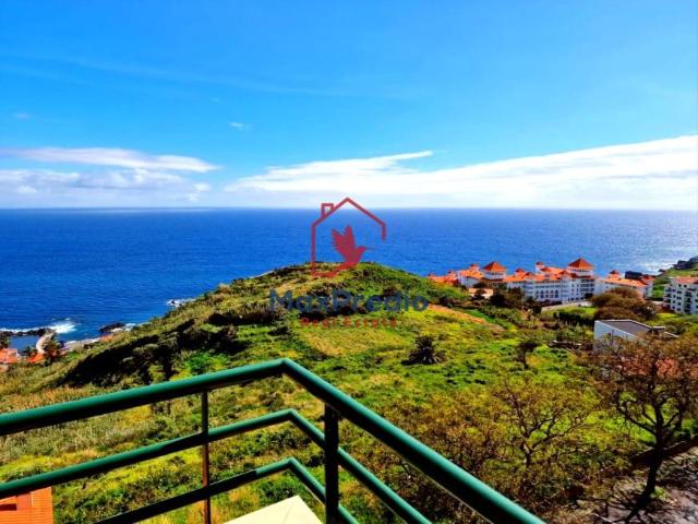 3 quarto, Madeira Santa Cruz 9125 102882992
