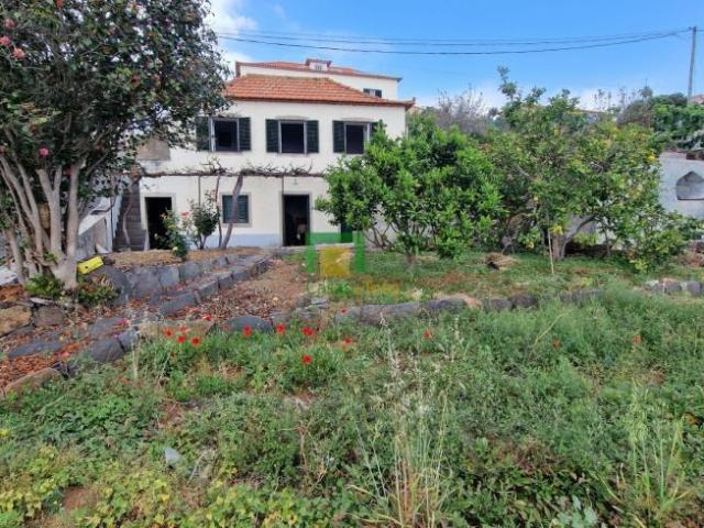 3 quarto, Madeira Santa Cruz 9125 104142992
