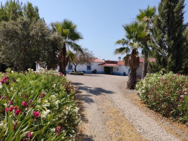 3 quarto, Mina De Sao Domingos Alentejo 104563875