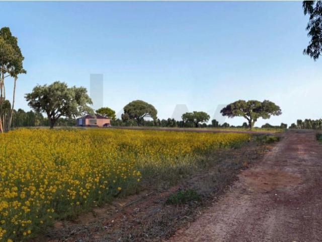 3 quarto, Odemira Odemira 100533990