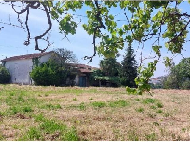 3 quarto, Paredes Paredes 105016123