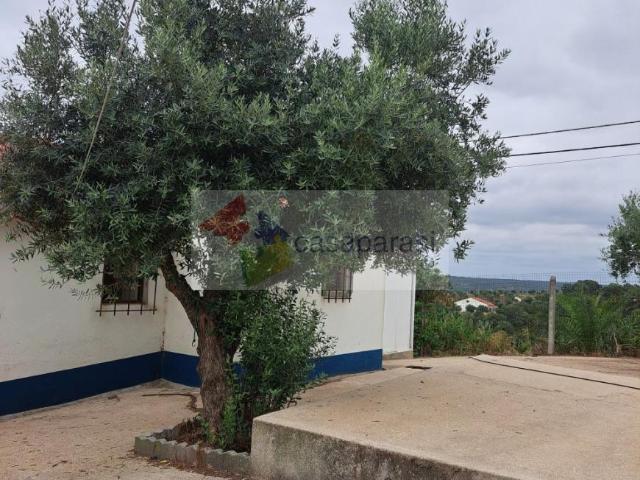 3 quarto, Portalegre Ponte de Sor 7425 101261645
