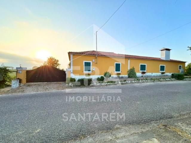 3 quarto, Santarém Santarém 104566515