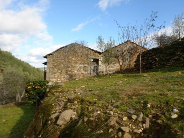 3 quarto, Sabrosa Sabrosa 91851798
