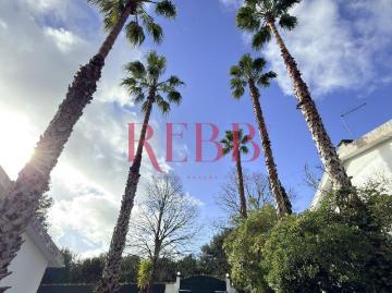 Rua Fonte De Sesimbra, Fonte de Sesimbra, Castelo, Sesimbra